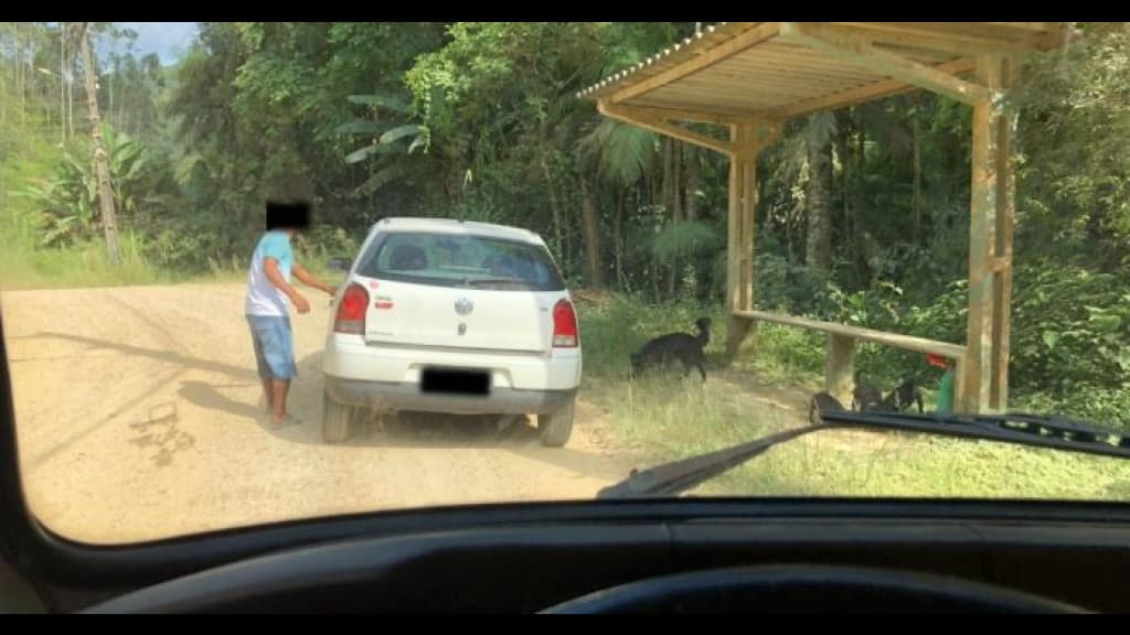 Homem abandona cãezinhos em ponto de ônibus de Brusque