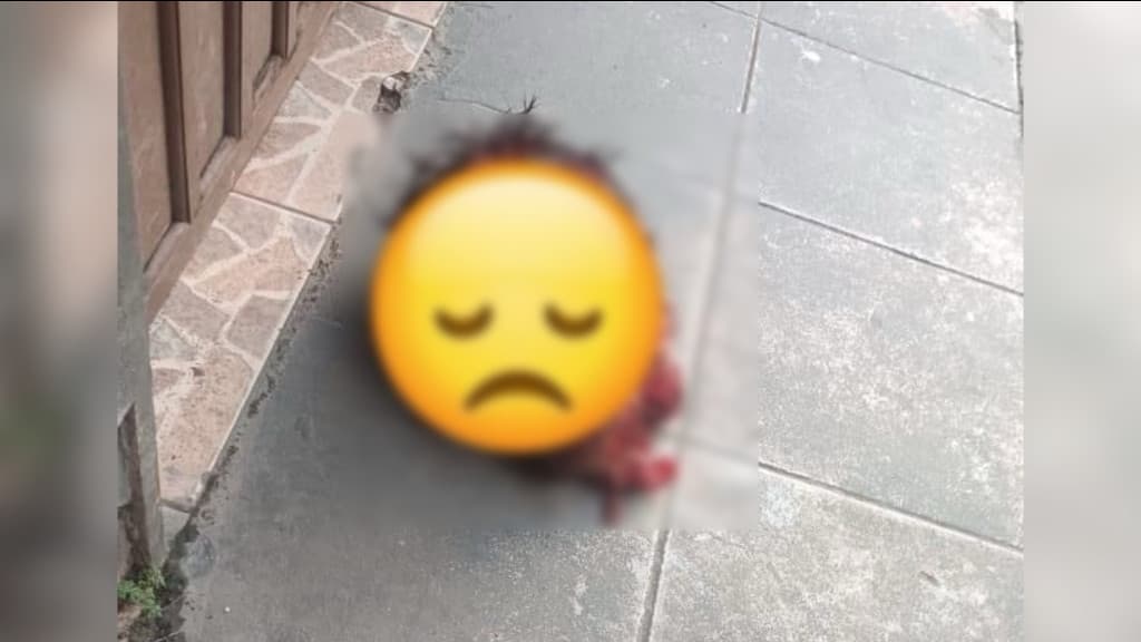 Cabeça humana é encontrada em posto de combustível