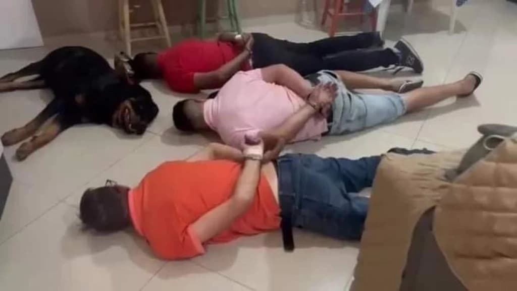 Cão se “rende” com criminosos e arranca risadas da polícia