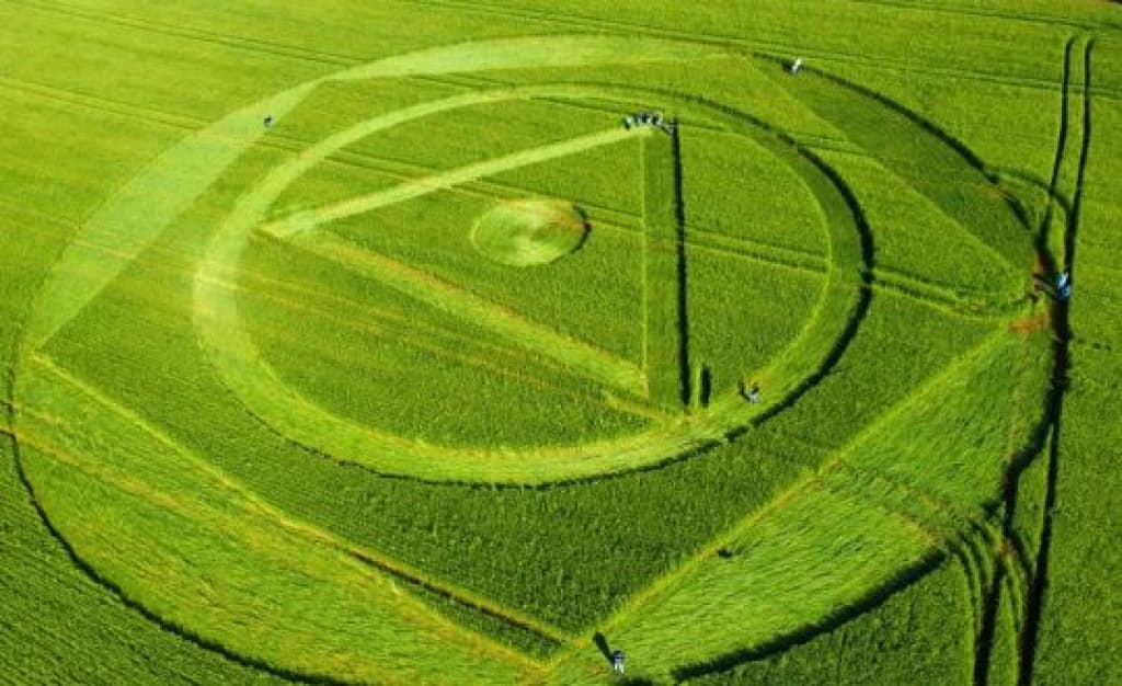 Dono de propriedade onde apareceu agroglifo irá desfazer marca em 10 dias e não prestará queixa