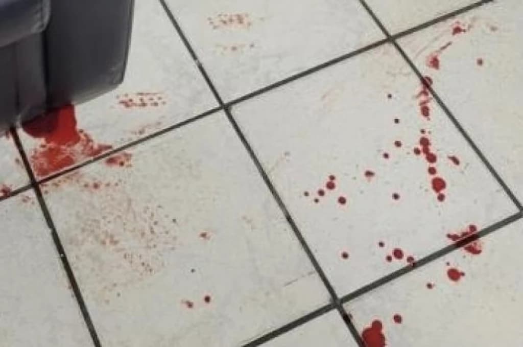 Adolescente é esfaqueada por colega de escola