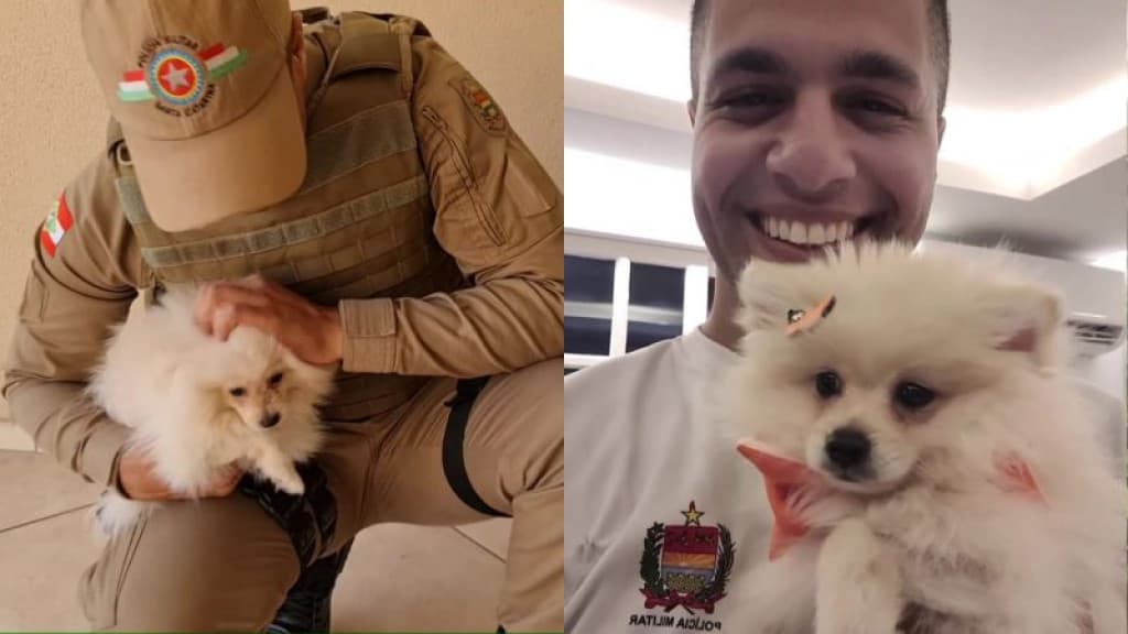 Cachorro que perdeu a pata após ser baleado é adotado por policial