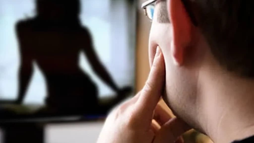 Esposa se indigna por marido estar assistindo vídeo pornô, quebra TV e leva soco no rosto