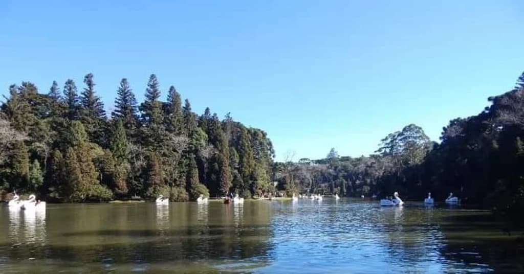 Homem vestido de pirata abusa de seis crianças durante passeio