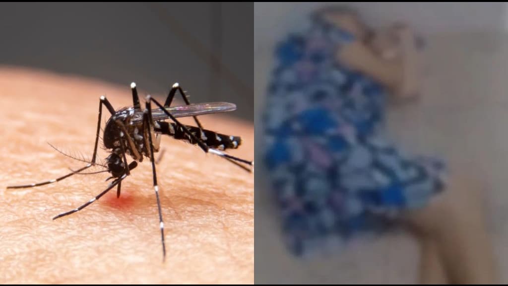 Com hospitais lotados e explosão de casos de dengue, SC decreta situação de emergência