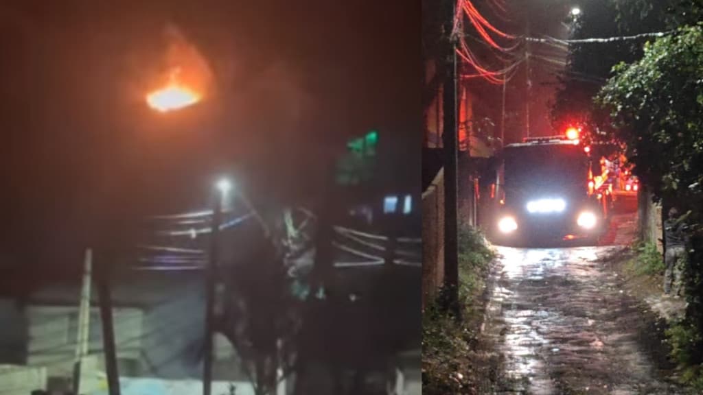 Incêndio em residência mata cachorros em Florianópolis