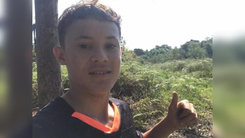 Menino morre após ser picado por cobra em São Francisco do Sul