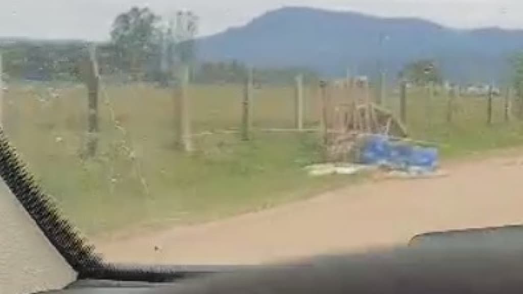 Morador de Tijucas flagra “porcão” jogando lixo irregularmente
