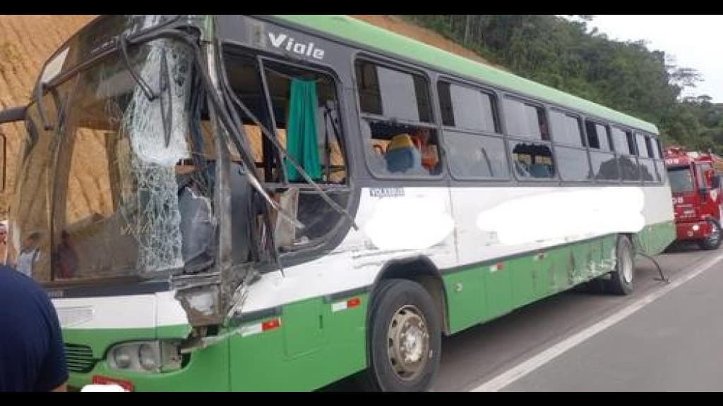 Motorista de ônibus escolar evita tragédia após caminhão invadir pista contrária na BR-470