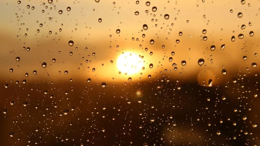 SC em alerta: Semana de calor acima de 40ºC com risco de temporais