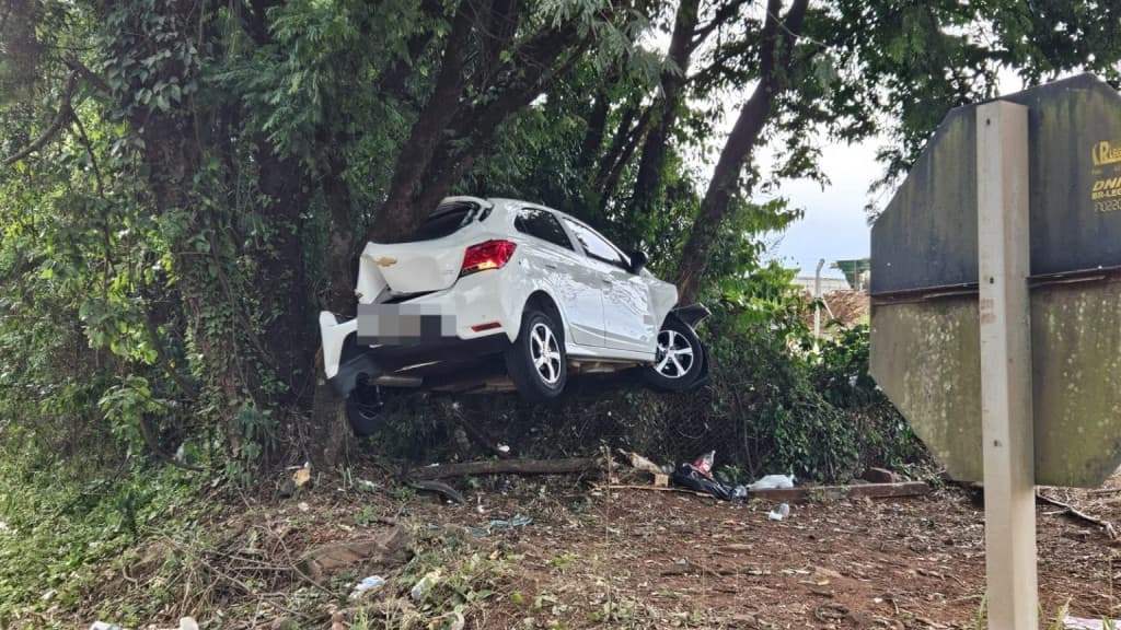 Buraco na BR-282 faz carro “decolar” e ficar preso em árvore