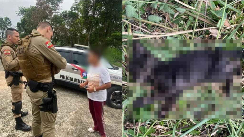Idosa mata gato de sobrinha após briga por pedaço de frango durante o almoço