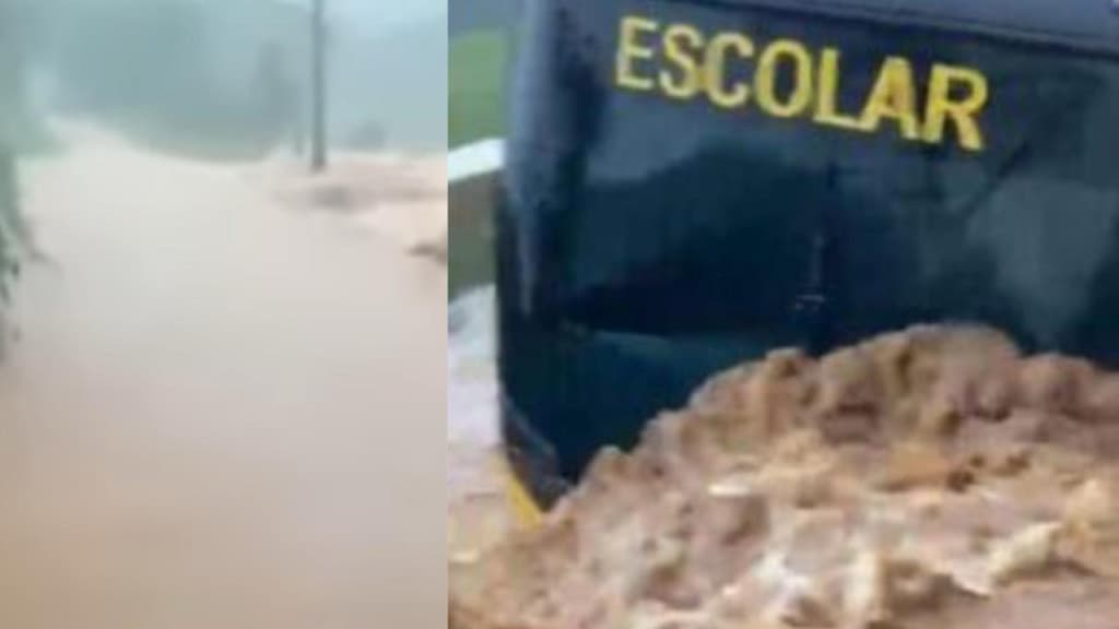 “Eu não quero morrer agora”: crianças entram em pânico dentro de ônibus em SC