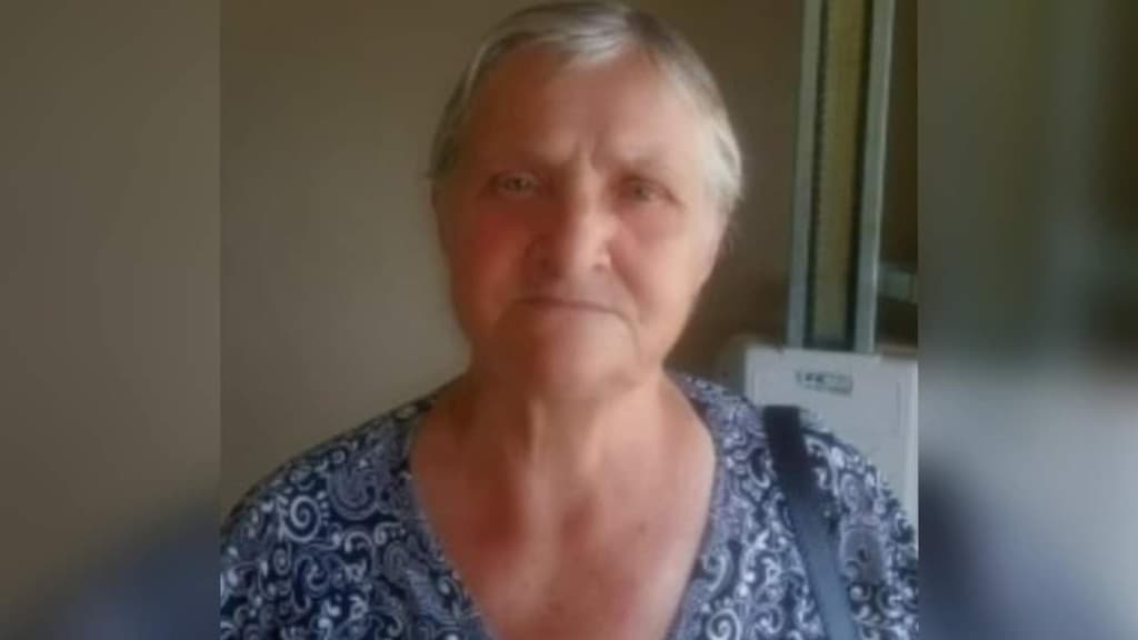 Idosa de 78 anos morre após ser atacada por cachorro da família