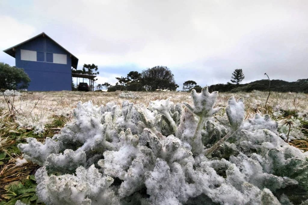 Santa Catarina registra neve em novembro pela primeira vez na história