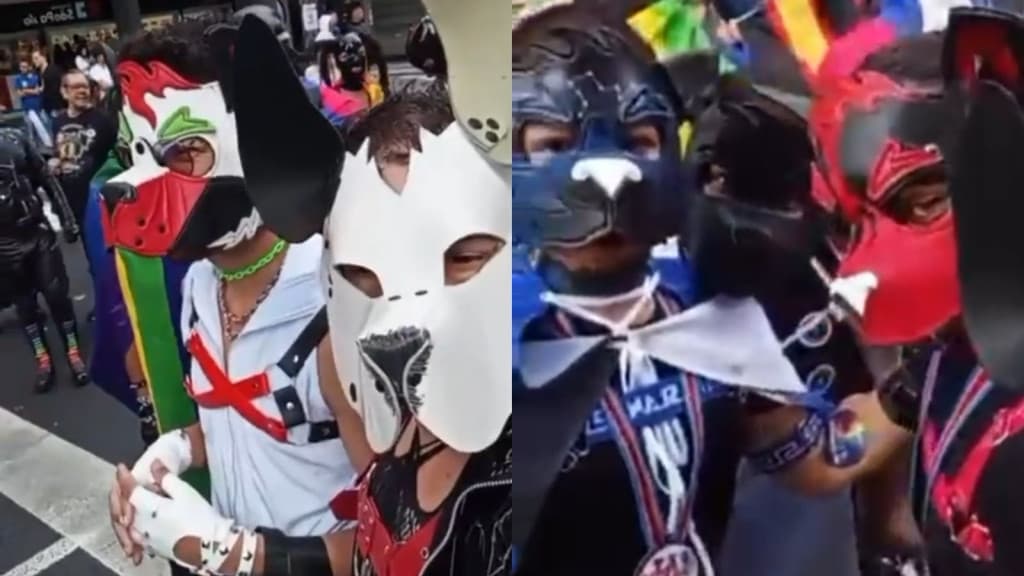 “Pulguentxs”: homens que andam “de 4” e tem fetiche de ser cachorro