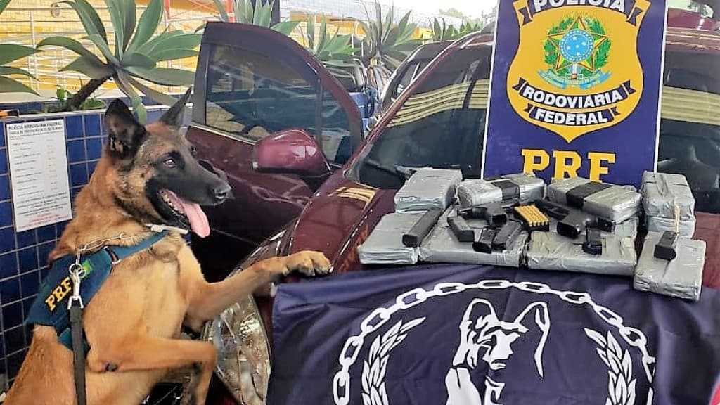 Cão farejador da PRF se aposenta após nove anos