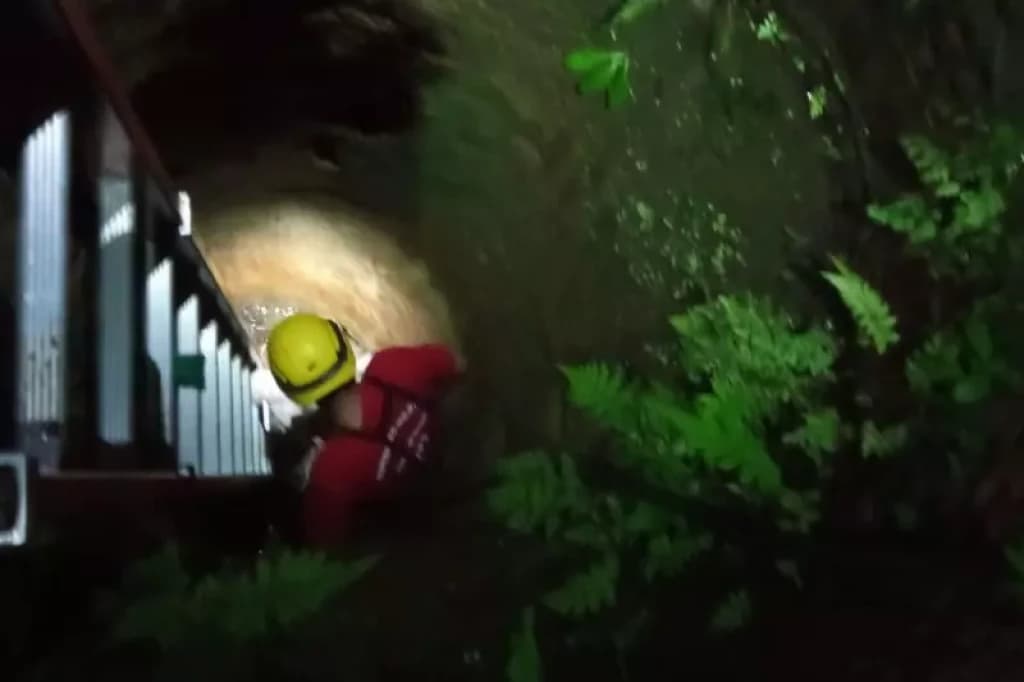 Porco de 200 kg é resgatado pelos bombeiros após cair dentro de poço em SC