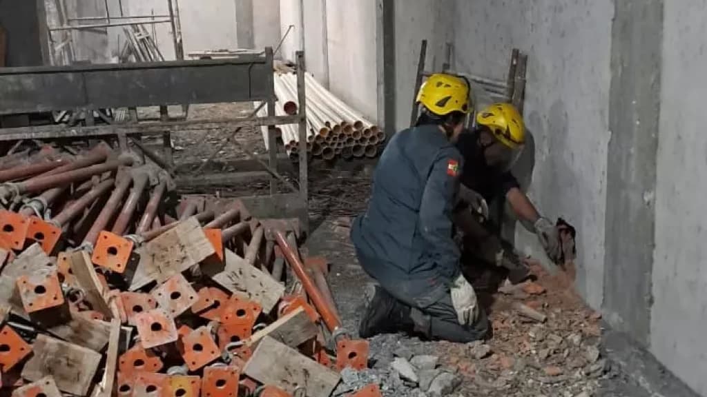 Gato é resgatado após ficar cinco dias preso entre paredes de construção em SC
