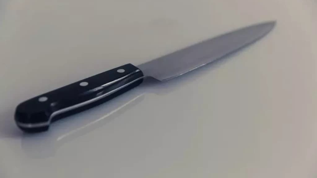 Após matar desavença em clínica terapêutica de SC, homem tem prisão convertida em preventiva