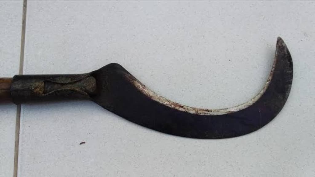 Filho tenta separar briga com foice, mas acerta pai e arranca perna de homem