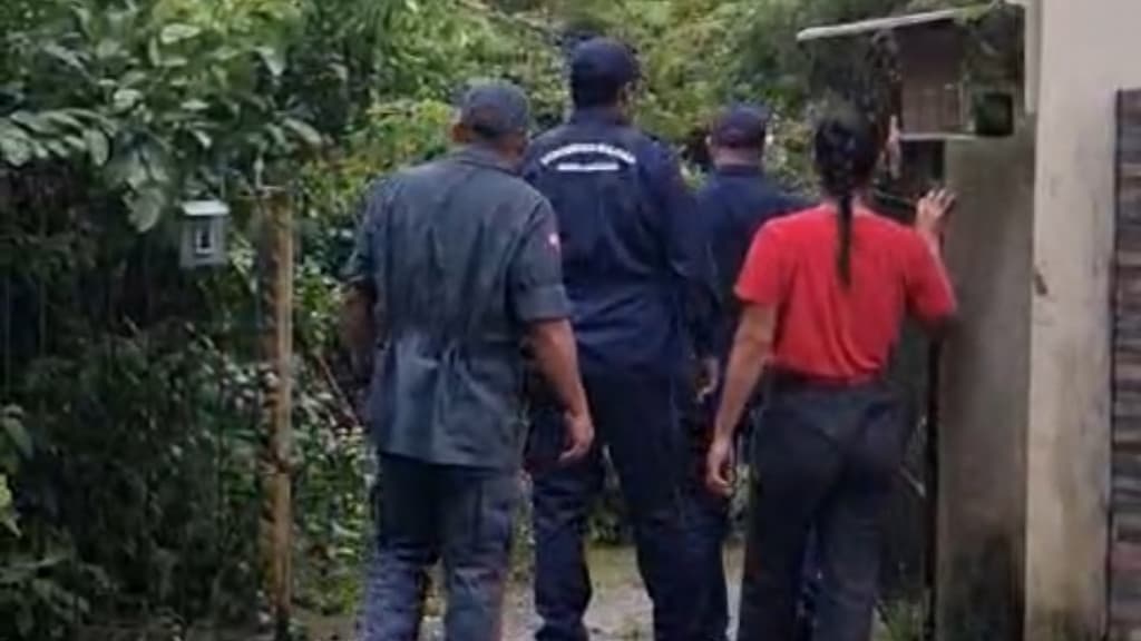 Idosos e cachorro são resgatados após deslizamento de terra em BC