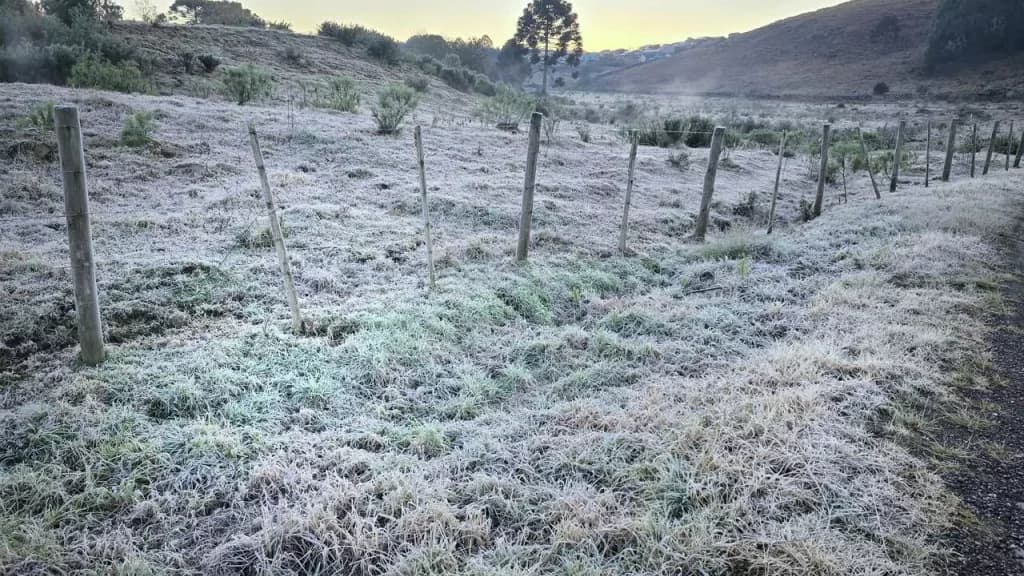 Serra catarinense amanhece branca com geada