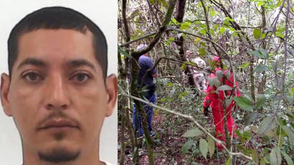 Homem que esquartejou três pessoas no PR é morto em confronto com a polícia de SC