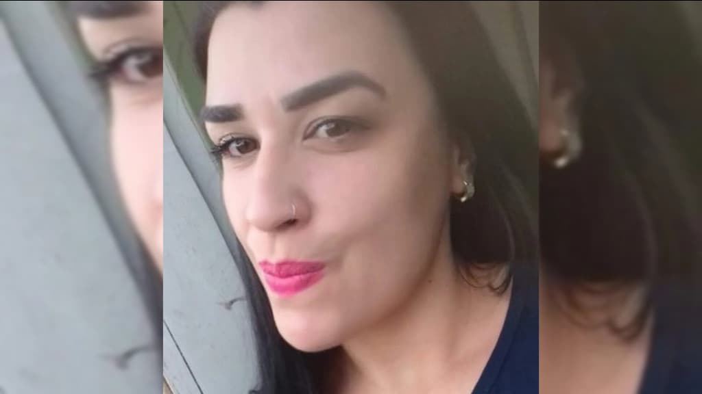 Menino de 3 anos tentou impedir o pai de assassinar a mãe a facadas em SC