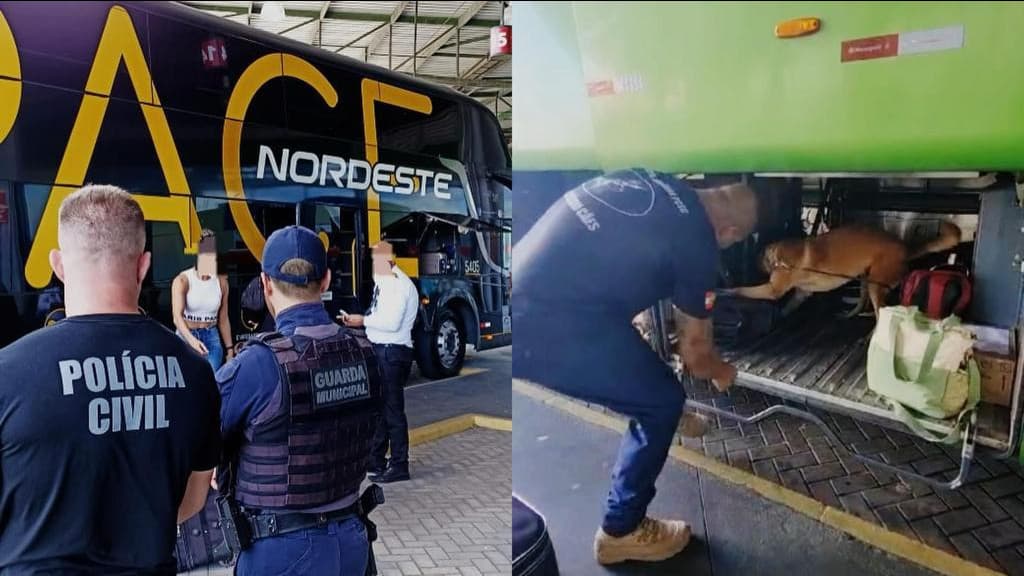 Polícia Civil e Guarda Municipal iniciam operações contra o tráfico de drogas