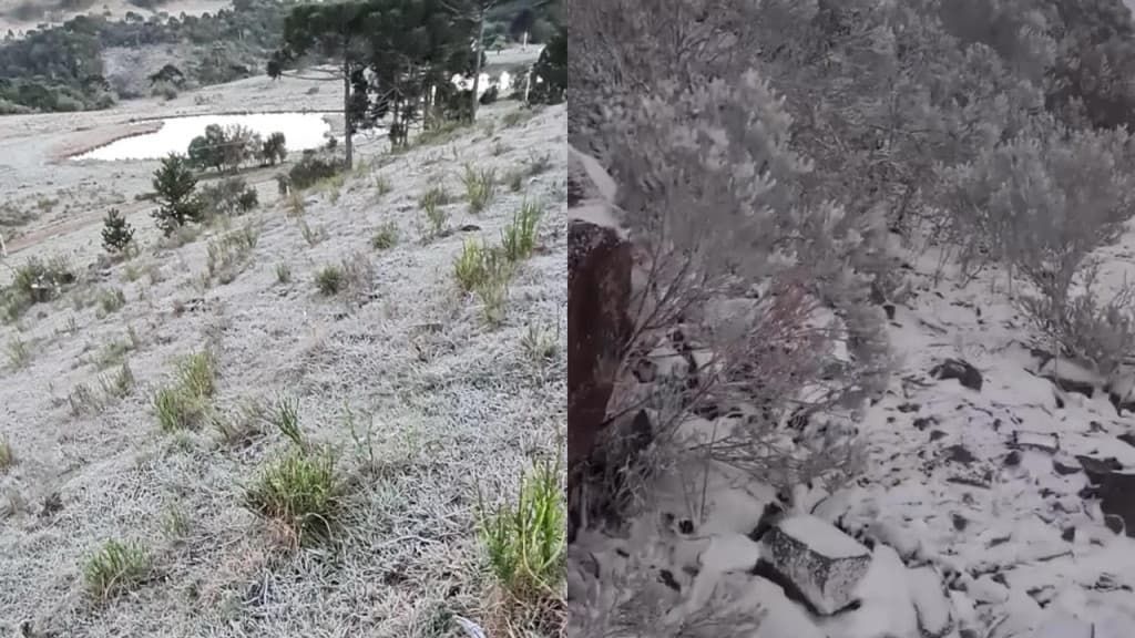 Cidade de SC registra -7,2ºC e amanhece branquinha de gelo