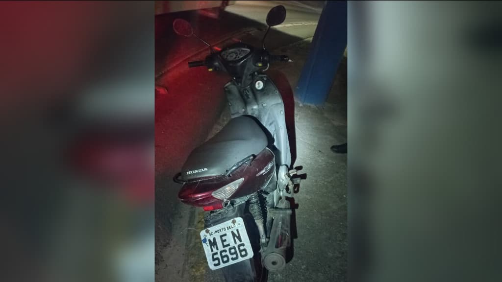Em Porto Belo, mulher culpa cachorro ao justificar placa de veículo furtada