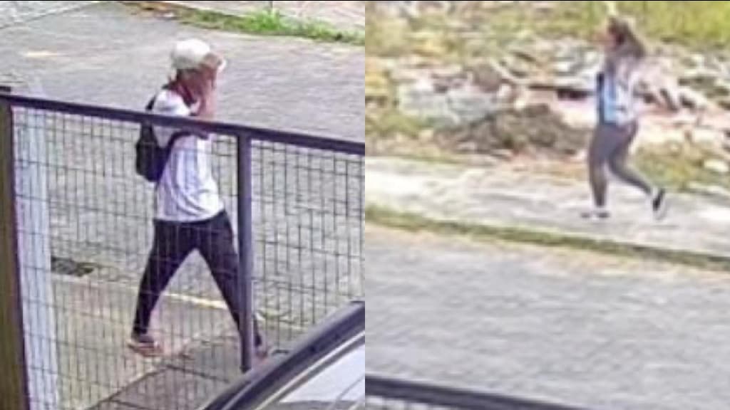 Mulher fica desesperada durante roubo de celular em SC