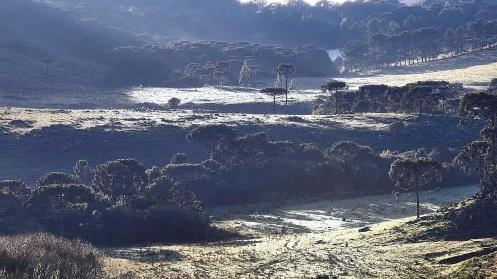 Santa Catarina amanhece com frio e geada