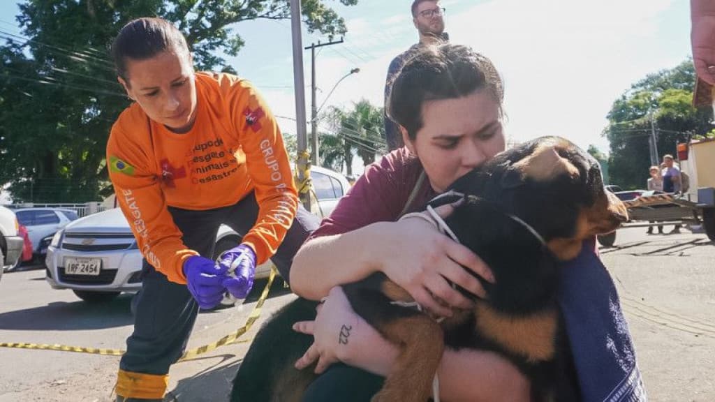 Governo do RS recomenda imunização de voluntários de resgate animal contra raiva