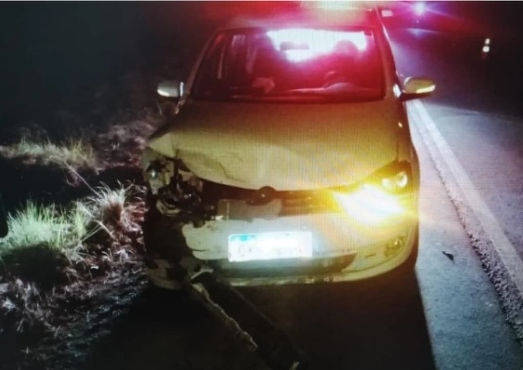 Javali quase causa acidente fatal em Santa Catarina