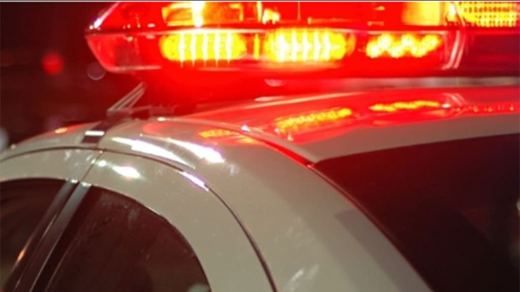 Corpo é encontrado em área de mata em SC; polícia investiga causa da morte
