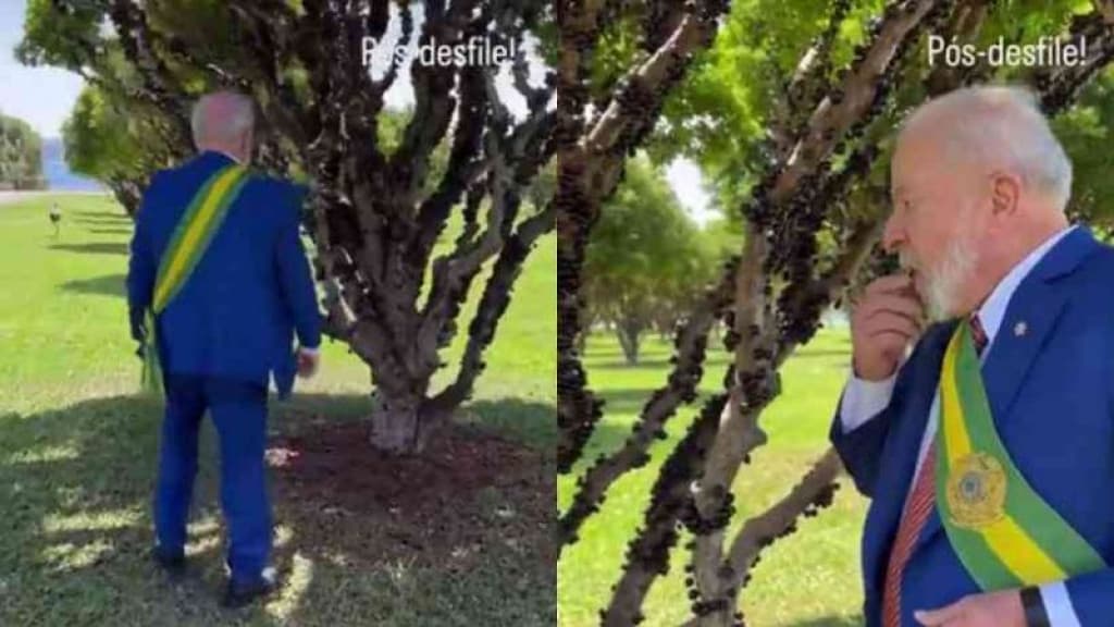Após desfile sem público, Lula afirma “colher o que plantou” comendo jabuticaba