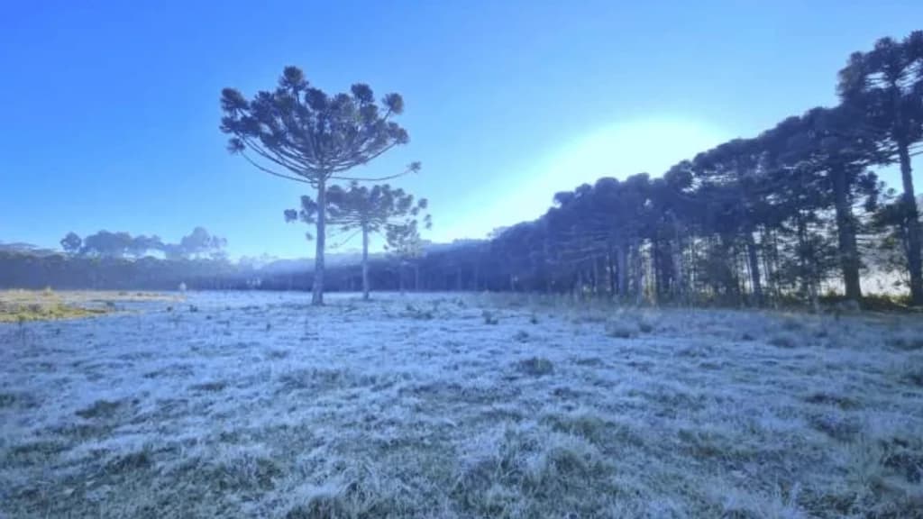 Amanhecer promete ser congelante entre RS e SC