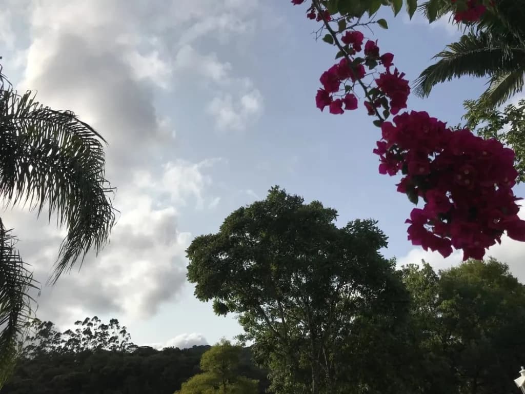Temperaturas devem esquentar ao longo da semana em SC