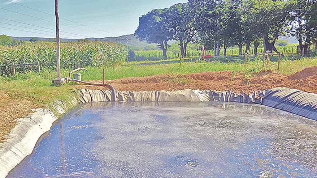 Criança morre após cair em esterqueira