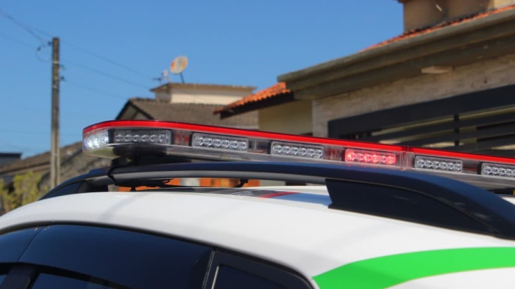 Homem sai para vender cachorro e acaba espancado com pedaço de madeira em SC