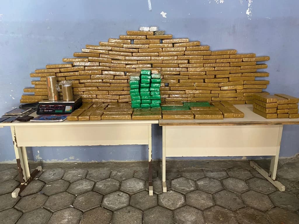 Operação em Porto Belo termina com apreensão de 156 kg de maconha