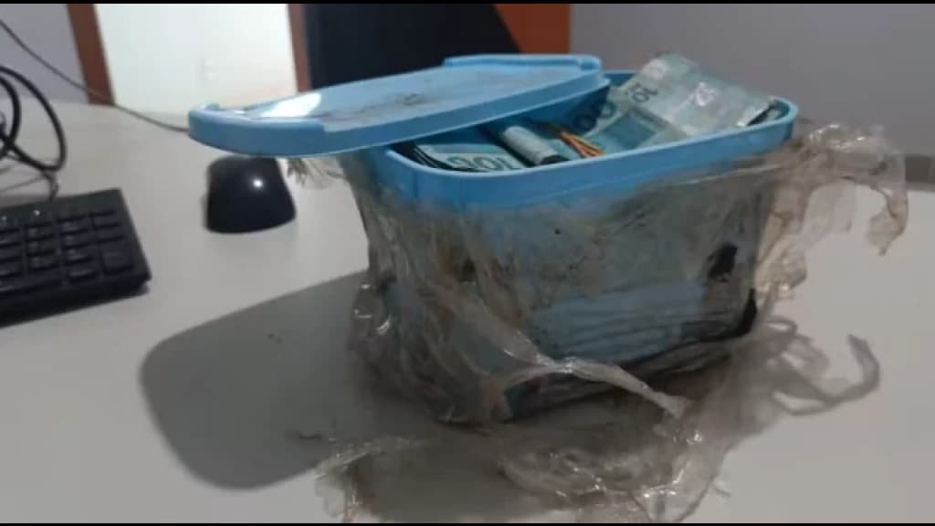 Idoso encontra R$ 60 mil dentro de pote de sorvete enterrado em quintal de residência