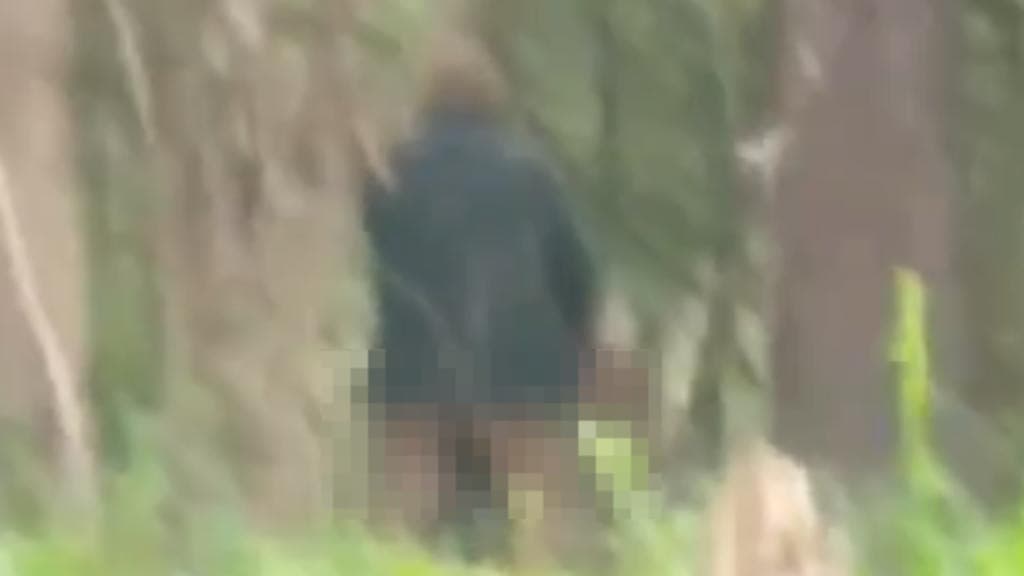 ZOOFILIA: Homem é flagrado abusando sexualmente de égua em SC