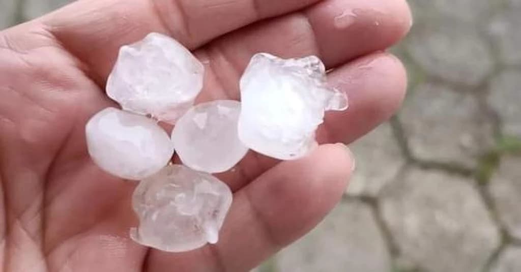 VÍDEO: Chuva de granizo deixa quintais “brancos” em Florianópolis