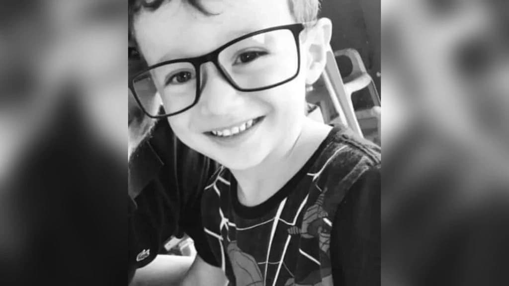 Criança de 7 anos morre após ser picada por escorpião