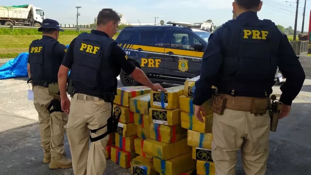 Motorista é preso transportando mais de 500 kg de maconha na BR-101