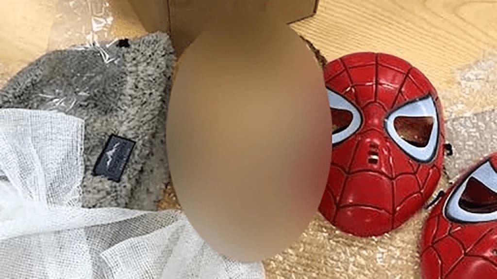 Cabeça de criança é achada em máscara de homem-aranha enviada pelo correio