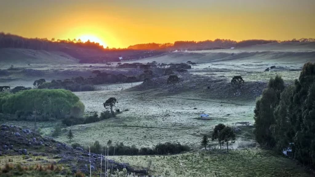 Geada na Serra Catarinense bate recorde de 136 dias do fenômeno em 2022